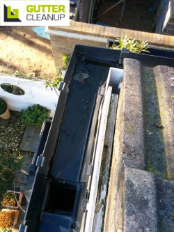 professional cleaning of rain gutters